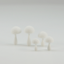 Wild mushrooms