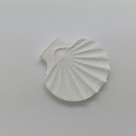 Shell platter