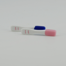 1/6 Pregnancy test