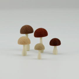 Wild mushrooms