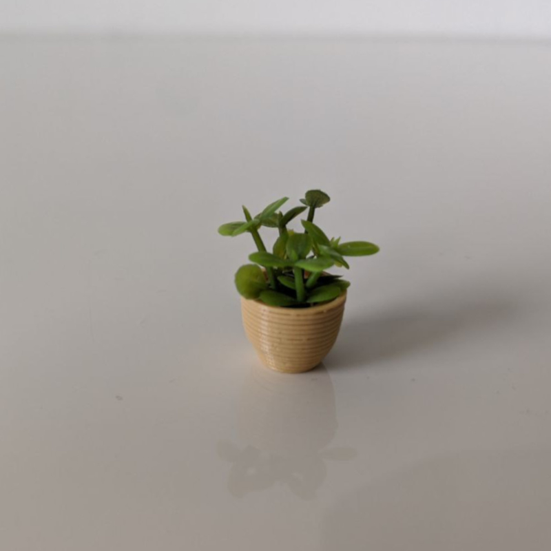 Plant VI