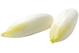 Witlof, flowpack 500 gr.