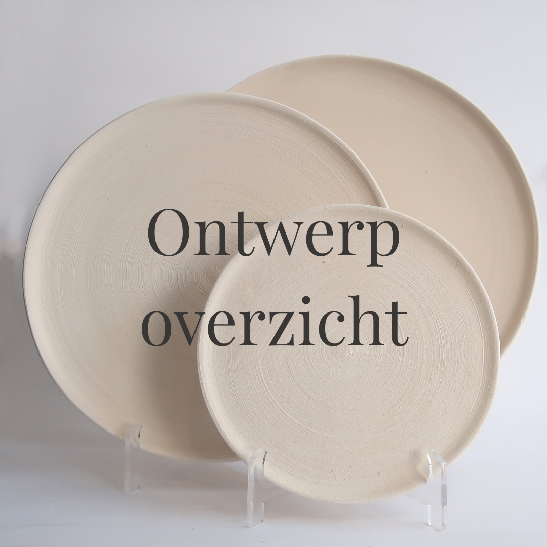Ontwerp overzicht (invulbaar) (pdf)