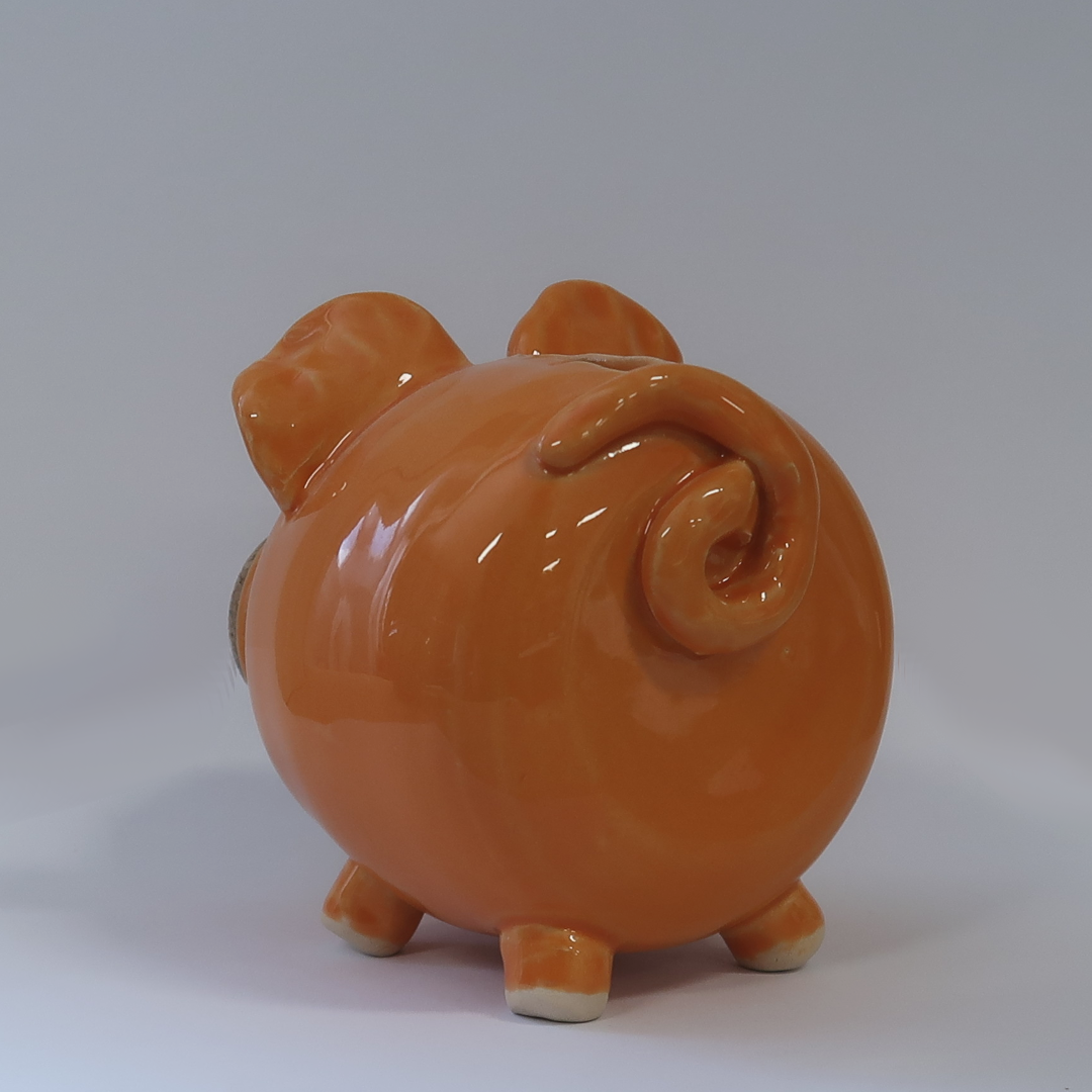 Spaarvarken oranje