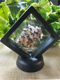 Hemimorfiet wit in display
