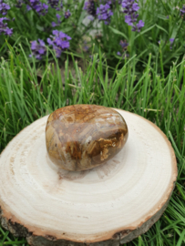 Versteend hout - nr. 8