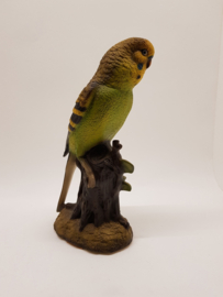 Large statue of a Budgerigar marked Royal