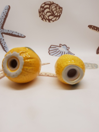 Salz- und Pfefferstreuer aus Keramik mit Zitrusmotiven