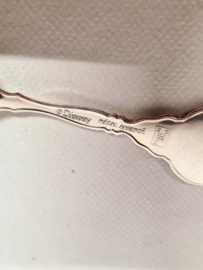 Spoon Disneyland souvenir