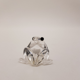 Swarovski Silver Crystal Frog mit Box