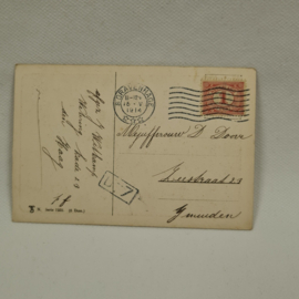Postcard from 1914 with dogs playing