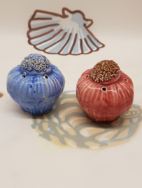 Zwiebeln als Salz- und Pfefferstreuer