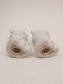 Salt and Pepper 2 mini pigs