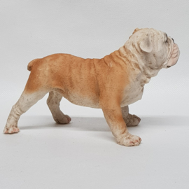 English Bulldog figurine polystone