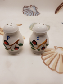 Vintage Salz- und Pfefferstreuer aus Porzellan