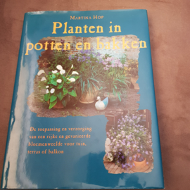 Martina Hop Planten in potten en bakken