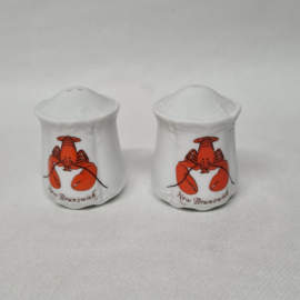 New Brunswick salt and pepper set with Cancer from America