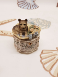 Vintage-Spieluhr mit Katze darauf