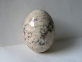 Dendrie Agate egg