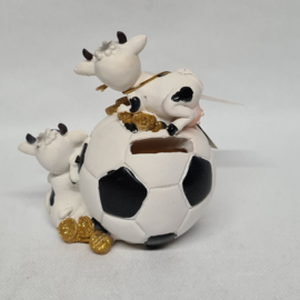 Cows on football piggy bank