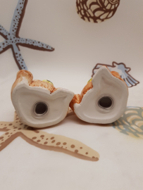 Bärenflecken wie Salz und Pfeffer