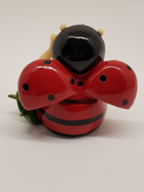 Ladybug as a piggy bank