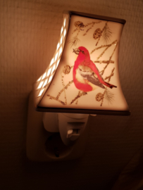 Night light robin with box.