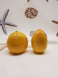 Salz- und Pfefferstreuer aus Keramik mit Zitrusmotiven