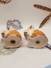 Saint Bernard dogs as salt and pepper shakers