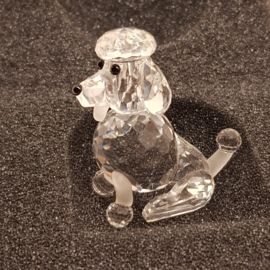 Swarovski Silver Crystal Poodle sitting with box