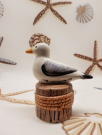 Pfeffer- und Salzmöwe auf Bint 2 Teile