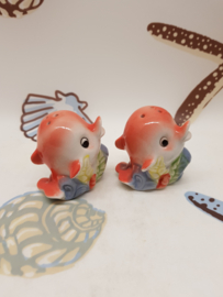 Salt and Pepper Dolphins