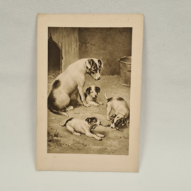 Postkarte von 1914 mit spielenden Hunden
