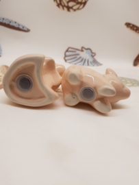 Salz und Pfeffer Freche Schweinchen