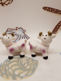 Salz- und Pfefferkühe aus der Schweiz von Lenk Schweiz