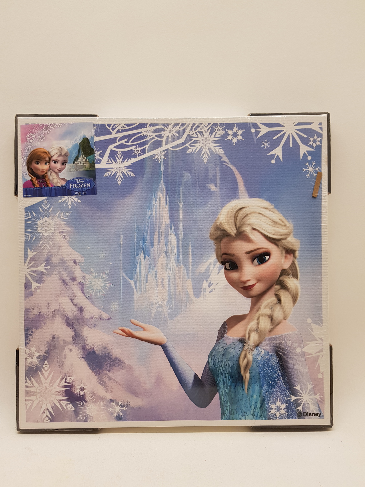 Anna Frozen Disney schilderijtje