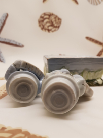 Salt and Pepper Pigs Musicians in a Trough