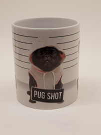 2016 Pug Dog Cup - Pug