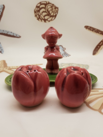 Salz und Pfeffer Das Tulpenmädchen