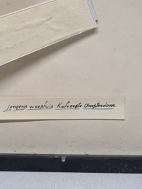 C.de Gruiter zeichnet Jungen Waisenhaus