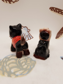 Salt and Pepper 2 küssende Hunde