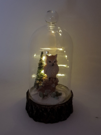 Owl in bell jar with light