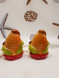 Lachende Maiskolben als Salz und Pfeffer