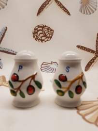 Vintage Salz- und Pfefferstreuer aus Porzellan