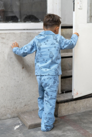Flanel bedrukt raketten babyblauw