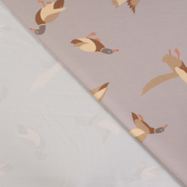 Qjutie French Terry Ducks sand