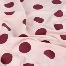 French Terry small dots poudre