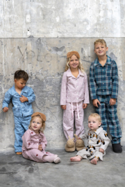 Flanel bedrukt ruiten groen