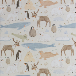 Little Jax Cozy Day's Collection / Artic friends