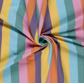 French Terry stof digitaal bedrukt Strepen Mint